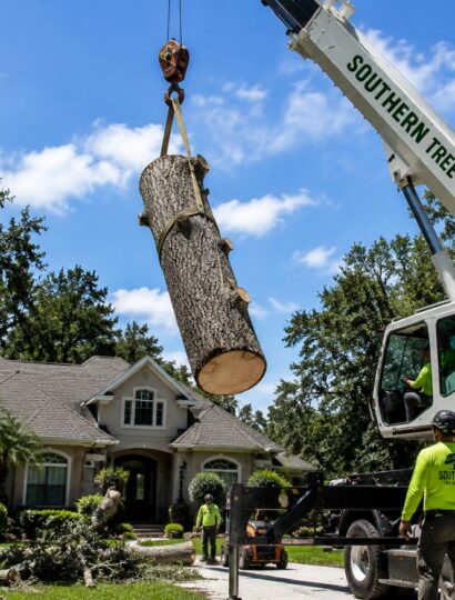Crane-Assisted Tree Removal in Northeast Florida _ Southern Tree Solutions