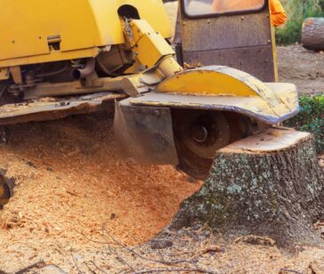 Tree Stump Grinding for Northeast Florida Properties _ Southern Tree Solutions